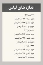 شومیز مجلسی سایز بزرگ - تصویر 3