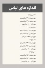 مانتو دیپلمات - تصویر 3