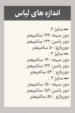 شومیز تابستانه مدل نقره - تصویر 3